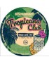 Tropicana Club Polykeg 20 L