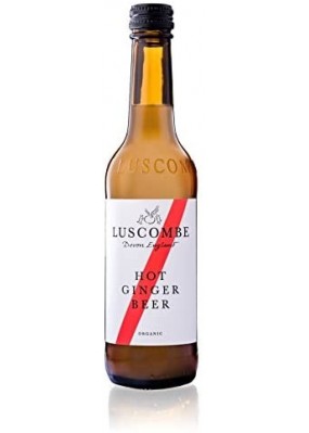 Ginger Beer Bottiglia 0.20cl